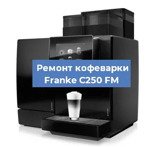Замена ТЭНа на кофемашине Franke C250 FM в Краснодаре
